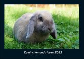 Kaninchen und Hasen 2022 Fotokalender DIN A4