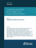 Cuestiones procesales en el Código Civil y Comercial de la Nación (eBook, ePUB)