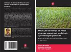 Detecção da doença de Hispa do arroz usando um modelo de aprendizagem profunda