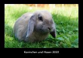 Kaninchen und Hasen 2022 Fotokalender DIN A3
