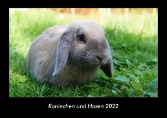 Kaninchen und Hasen 2022 Fotokalender DIN A3 - Tobias Becker