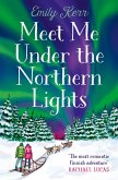 Meet Me Under the Northern Lights (eBook, ePUB)