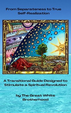 Cover From Separateness to True Self-Realization: A Transitional Guide Designed to Stimulate a Spiritual Revolution (eBook, ePUB)