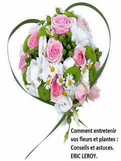 Comment entretenir vos fleurs et plantes : (eBook, ePUB)