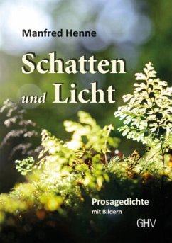 Schatten und Licht - Henne, Manfred