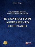 Grandi Opportunità Da Questo Sconosciuto (eBook, ePUB)