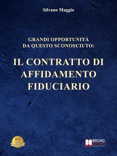 Grandi Opportunità Da Questo Sconosciuto (eBook, ePUB) - Maggio, Silvano