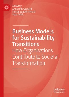 Business Models for Sustainability Transitions (eBook, PDF)