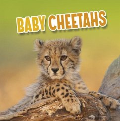 Cover Baby Cheetahs