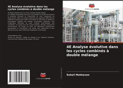 4E Analyse évolutive dans les cycles combinés à double mélange - Mohtaram, Soheil