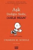 Ask Dedigin Nedir, Charlie Brown