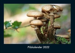 Pilzkalender 2022 Fotokalender DIN A4 - Tobias Becker