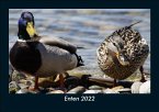 Enten 2022 Fotokalender DIN A5