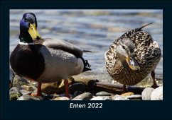 Enten 2022 Fotokalender DIN A5 - Tobias Becker