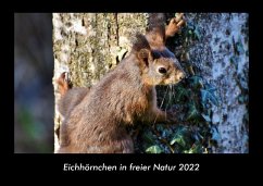 Eichhörnchen in freier Natur 2022 Fotokalender DIN A3 - Tobias Becker