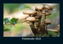 Pilzkalender 2022 Fotokalender DIN A5 - Tobias Becker