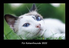 Für Katzenfreunde 2022 Fotokalender DIN A3 - Tobias Becker