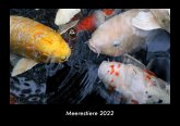 Meerestiere 2022 Fotokalender DIN A3