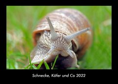 Schnecke, Käfer und Co 2022 Fotokalender DIN A3 - Tobias Becker