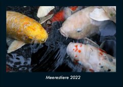 Meerestiere 2022 Fotokalender DIN A4 - Tobias Becker