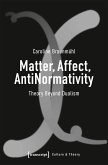 Matter, Affect, AntiNormativity (eBook, PDF)