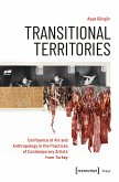 Transitional Territories (eBook, PDF)