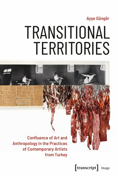 Transitional Territories (eBook, PDF) - Güngör, Ayse