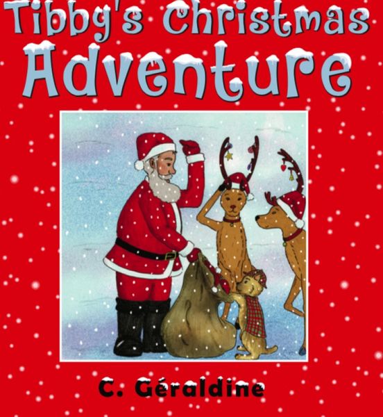 Tibby's Christmas Adventure (eBook, ePUB)