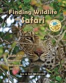Finding Wildlife On Safari Finding Wildlife On Safari