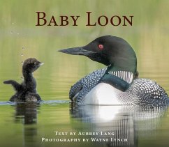 Baby Loon - Lang, Aubrey