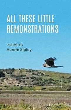 All These Little Remonstrations - Sibley, Aurore