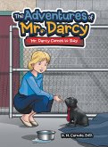 The Adventures of Mr. Darcy