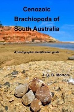 Cenozoic Brachiopoda of South Australia - Morton, John G G
