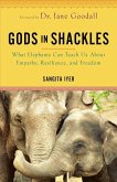 Gods in Shackles: What Elephants Can Teach Us about Empathy, Resilience, and Freedom