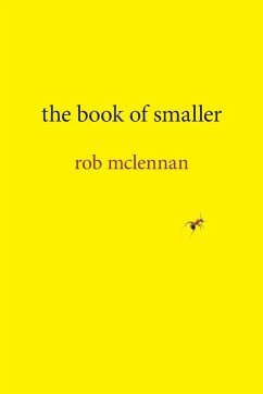 Book of Smaller - Mclennan, Rob