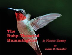 The Ruby-throated Hummingbird - Sumpter, James B