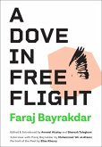 A Dove in Free Flight