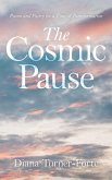 The Cosmic Pause