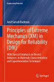 Principles of Extreme Mechanics (XM) in Design for Reliability (DfR) (eBook, PDF)