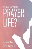 HOW IS YOUR PRAYER LIFE? (eBook, ePUB)