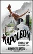 Napoleon (Silver Edition) (eBook, ePUB) - Bild 1