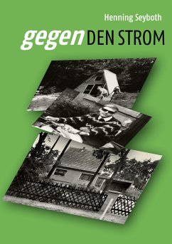 Gegen den Strom (eBook, ePUB) - Seyboth, Henning