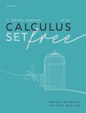 Calculus Set Free (eBook, PDF)