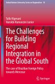 The Challenges for Building Regional Integration in the Global South