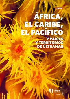 Actividad del BEI en África, el Caribe, el Pacífico y en los Países y Territorios de Ultramar (eBook, ePUB)