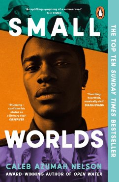 Small Worlds (eBook, ePUB) - Nelson, Caleb Azumah