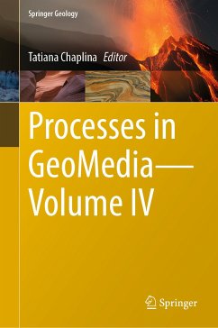 Processes in GeoMedia—Volume IV (eBook, PDF)