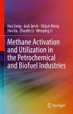 Methane Activation and Utilization in the Petrochemical and Biofuel Industries (eBook, PDF)