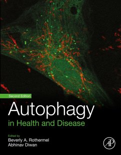 Autophagy in Health and Disease (eBook, ePUB) Cover Autophagy in Health and Disease (eBook, ePUB)