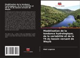 Modélisation de la tendance hydrologique, de la variabilité et de la TS du bassin versant de Weyib